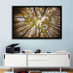 Autumn Forest Canopy Looking Up Wall Art