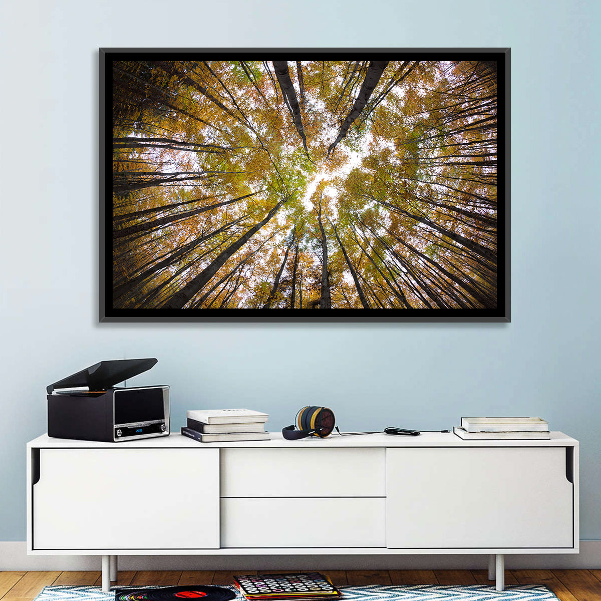 Autumn Forest Canopy Looking Up Wall Art