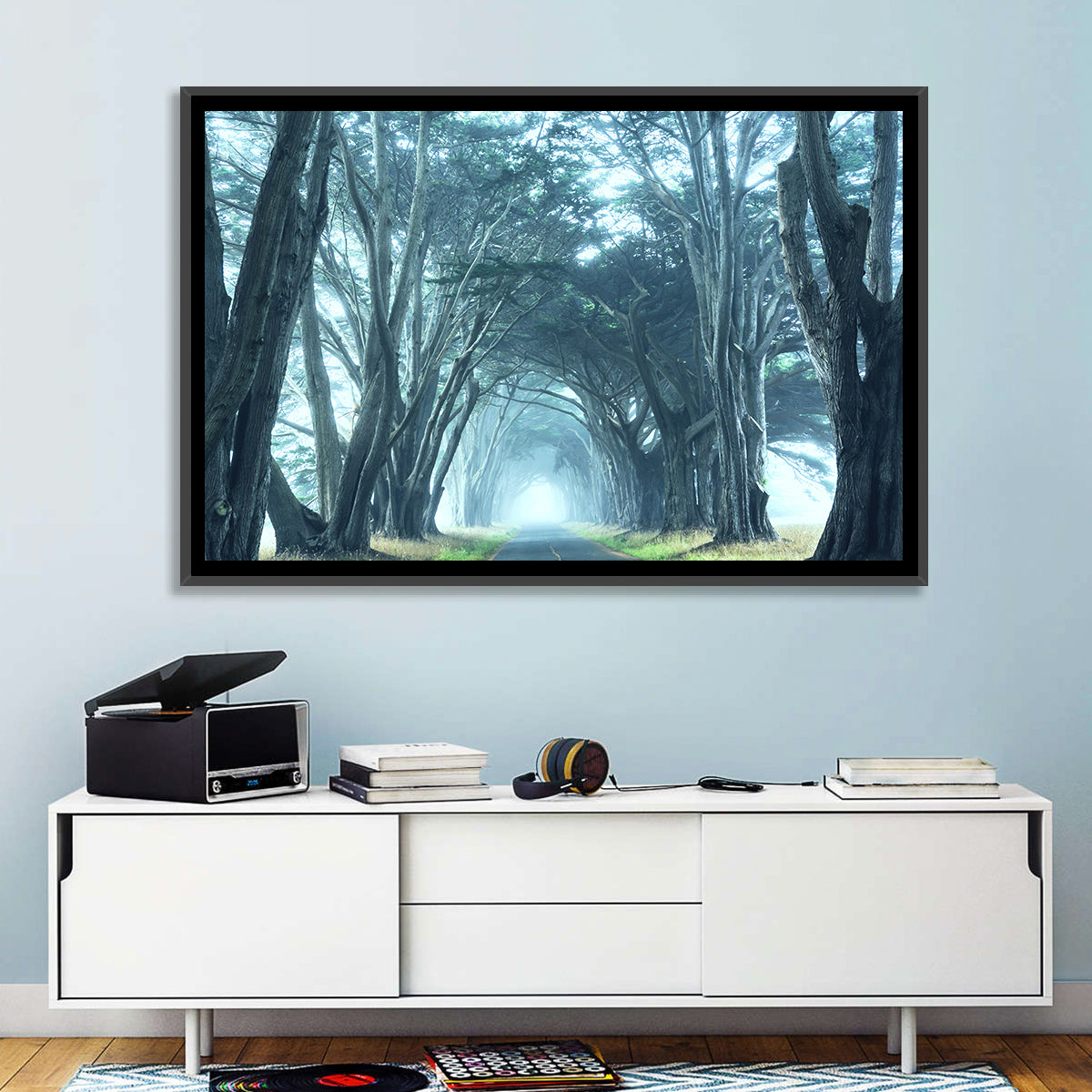 Foggy Cypress Tree Tunnel Wall Art in a room, landscape