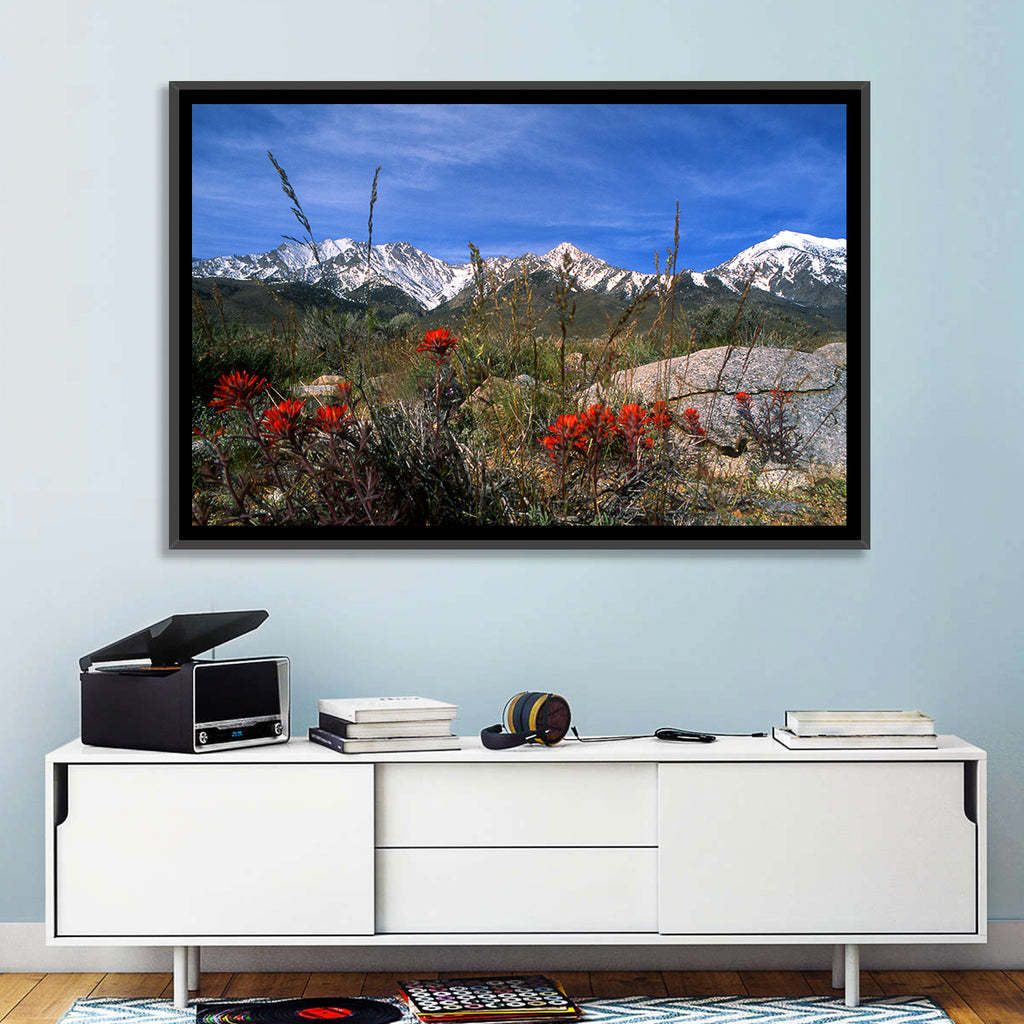 Sierra Nevada Wildflower Vista Wall Art