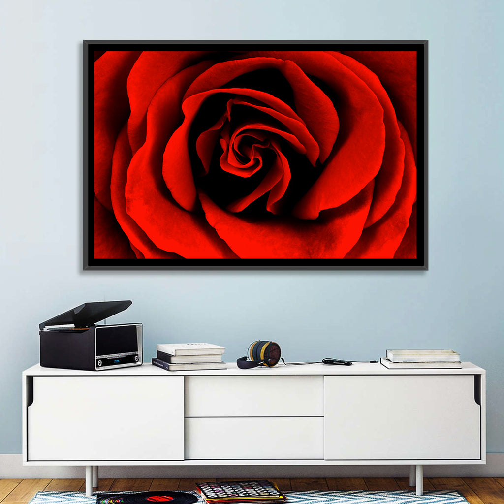 Velvety Red Rose Close-up Wall Art