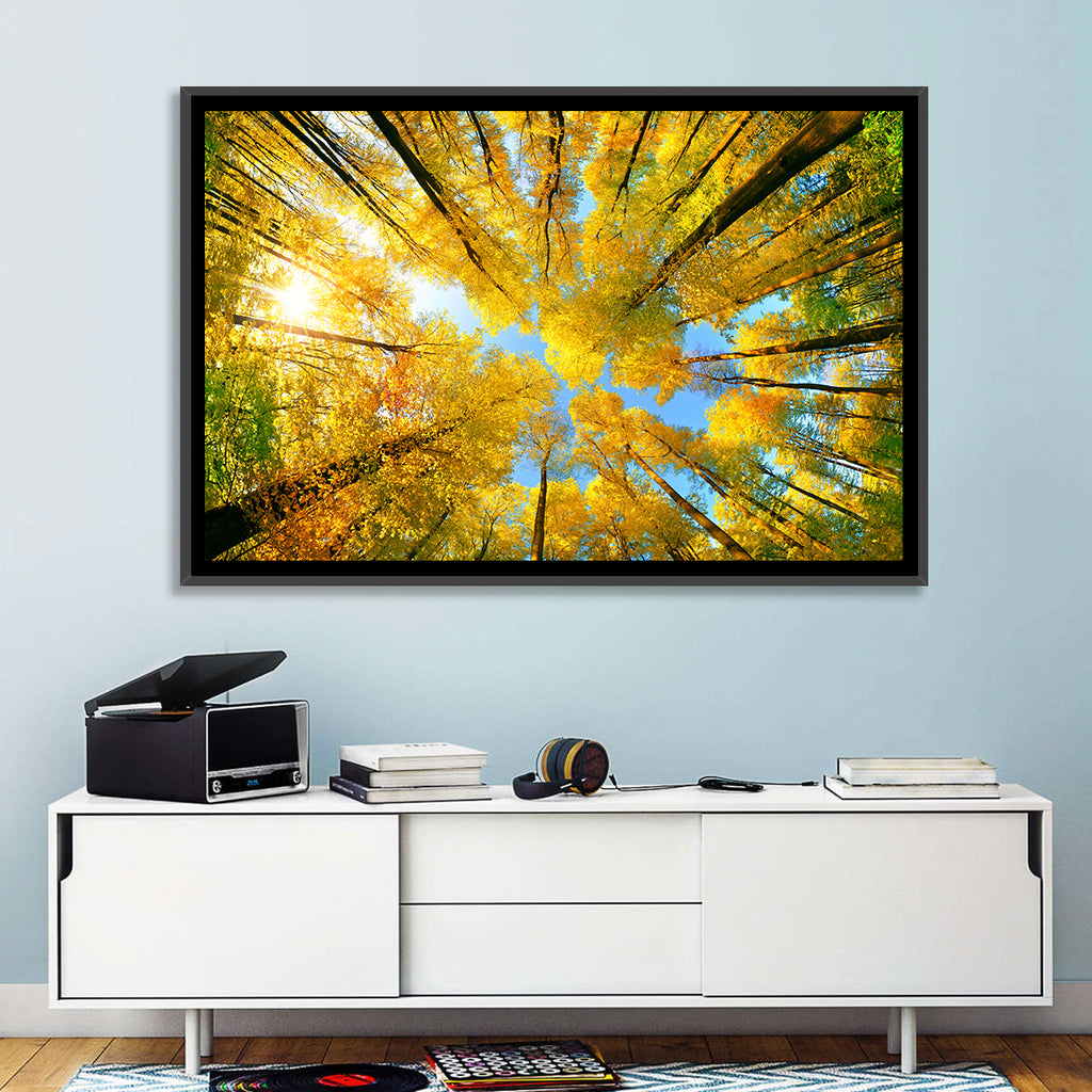 Golden Autumn Canopy Wall Art