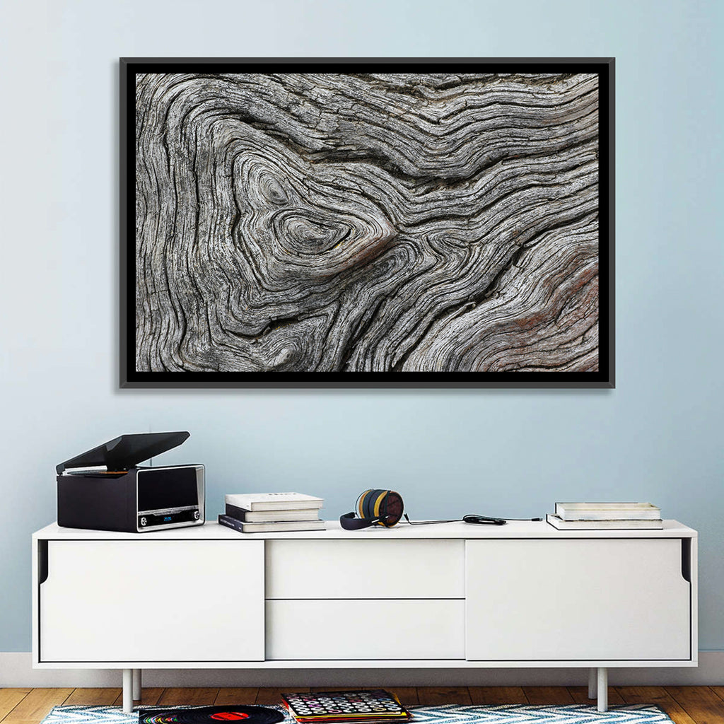 Tree Growth Rings Wall Art