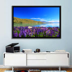 Lake Tekapo Lupine Fields Wall Art