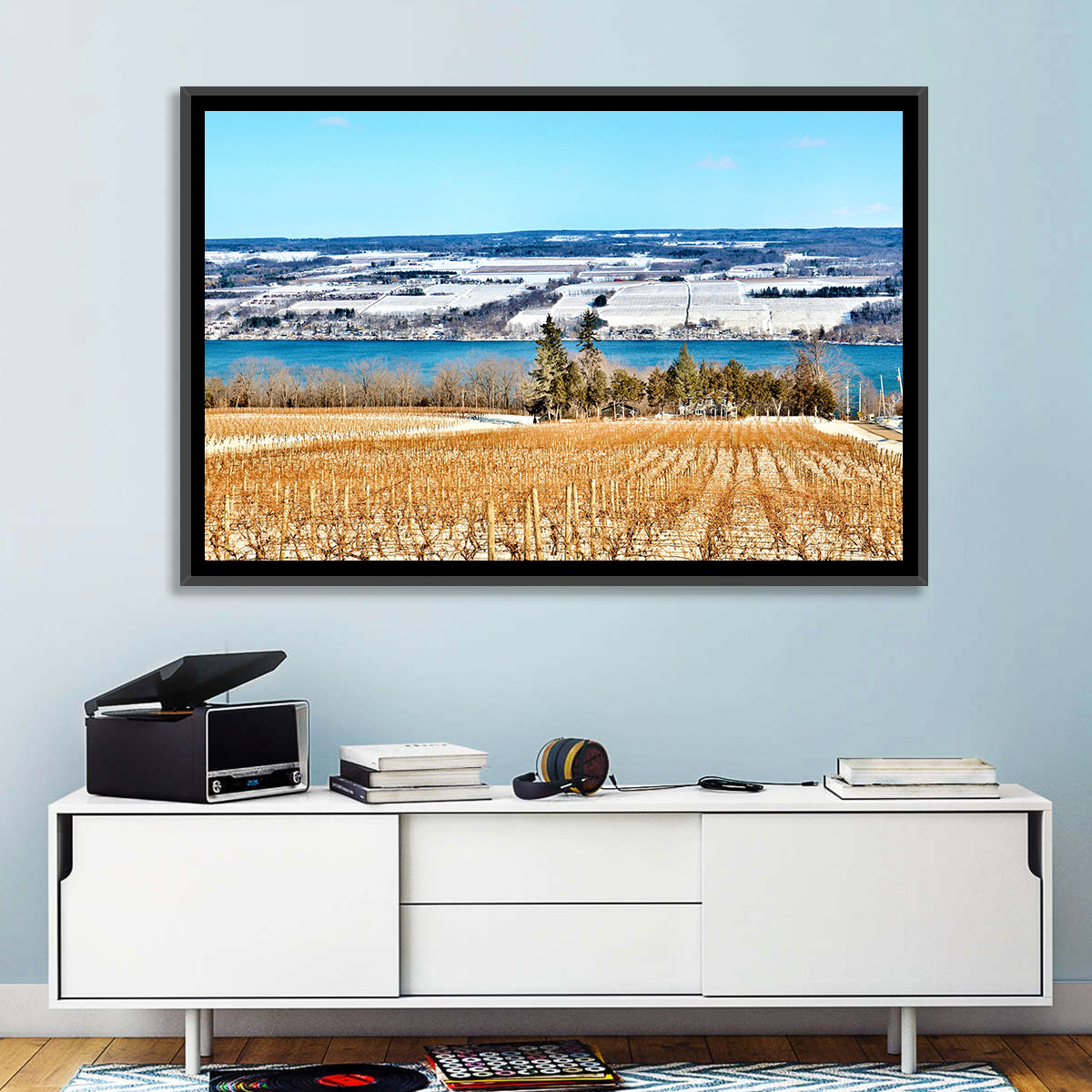 Seneca Lake Vineyard Wall Art in a room, landscape