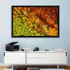 Winding Road Through Autumn Forest Wall Art