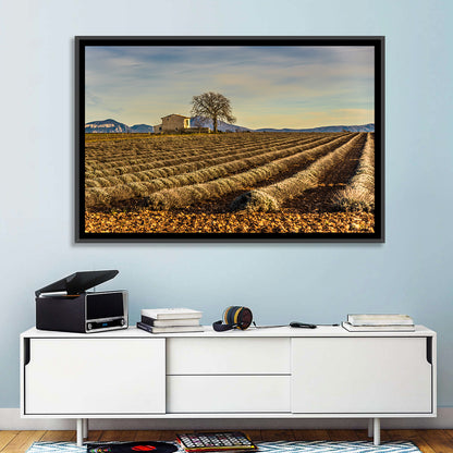 Provence Lavender Wall Art