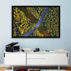 Aerial Autumn Forest Road Wall Art