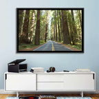 Giants Avenue Redwood Forest Road Wall Art