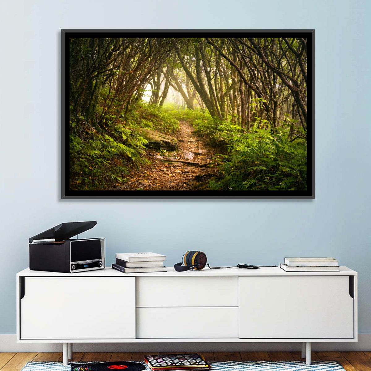Craggy Gardens Hiking Trail Wall Art in a room, landscape