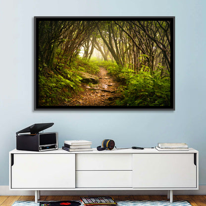 Craggy Gardens Hiking Trail Wall Art