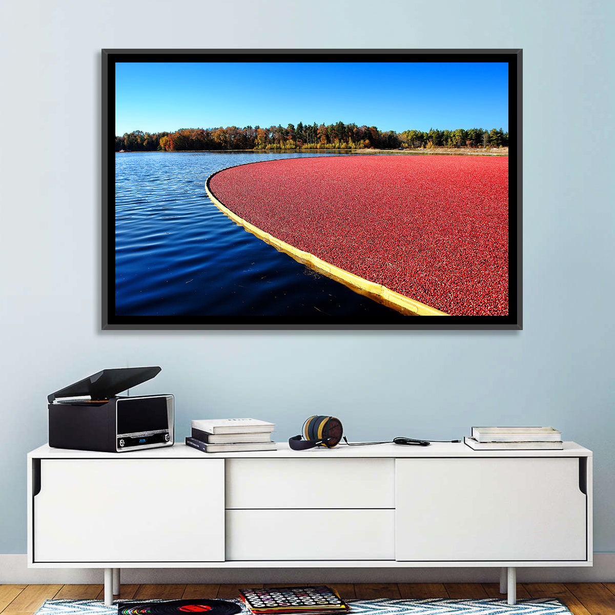Flooded Cranberry Bog Wall Art in a room, landscape