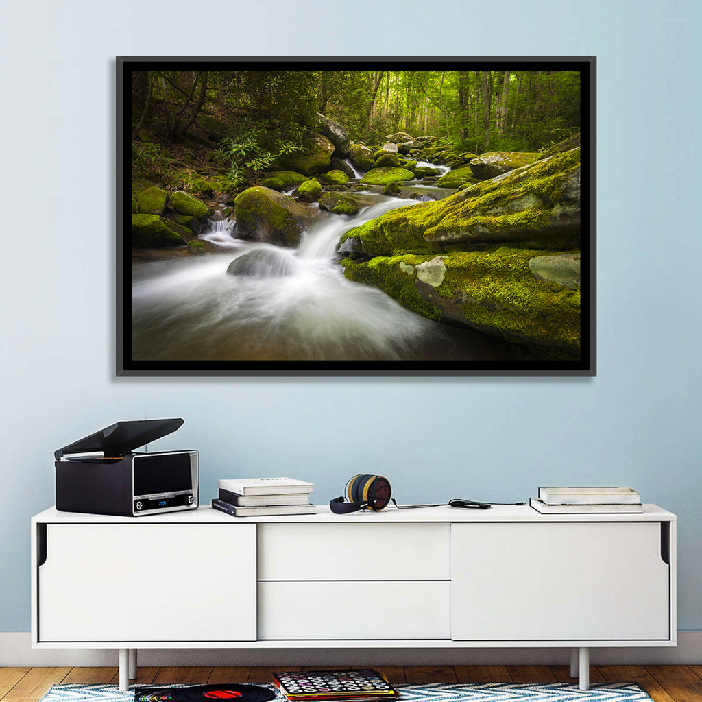 Gatlinburg Park Stream Wall Art