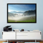 Sunlit Terraced Tea Hills Wall Art