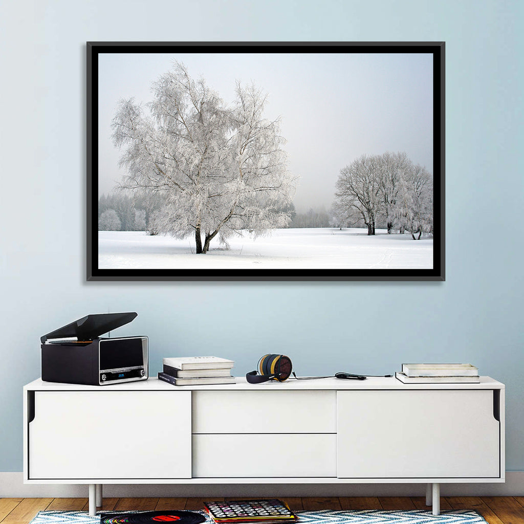 Frosted Birch Grove Wall Art