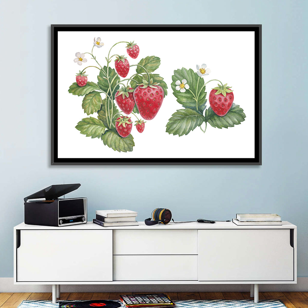 Fresh Strawberry Botanical Illustration Wall Art