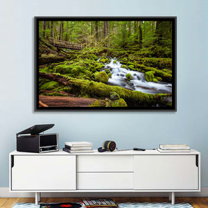 Cascade Forest Stream Wall Art