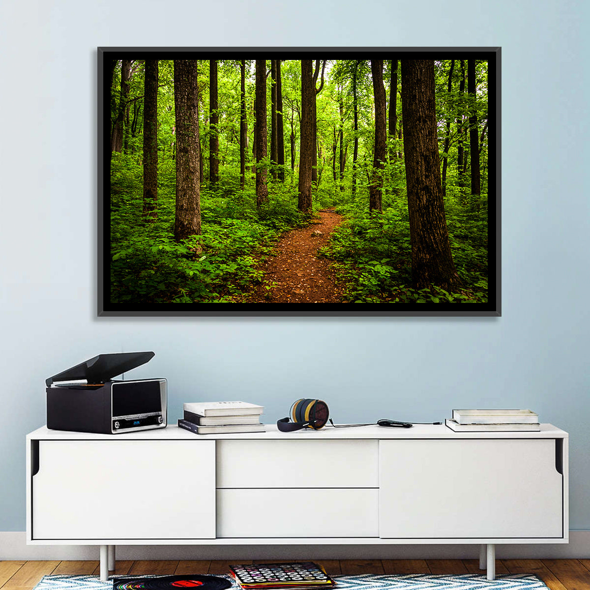 Shenandoah National Park Trail Wall Art in a room, landscape