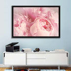 Soft Pink Peony Close Up Wall Art