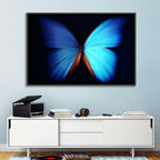 Blue Butterfly Macro Study Wall Art