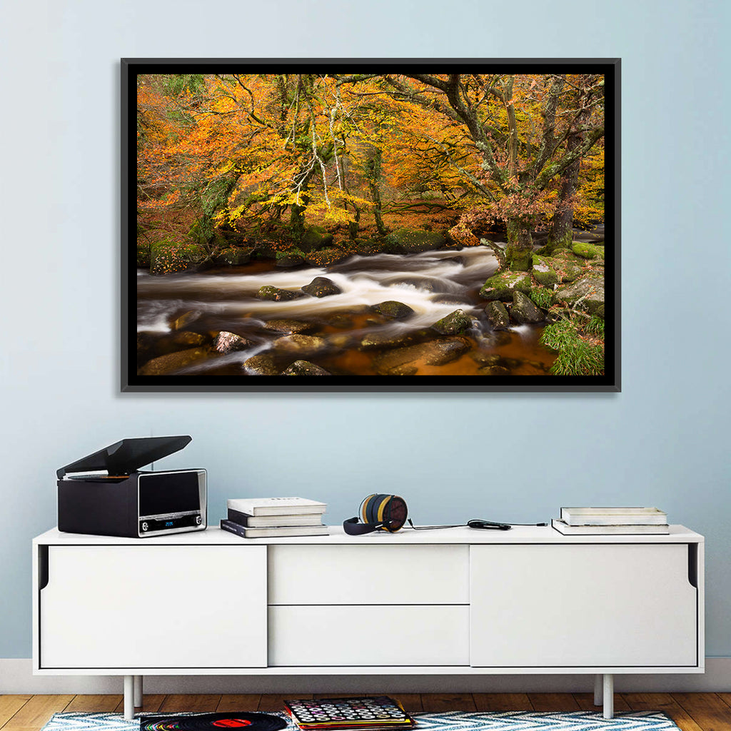 Dartmoor Autumn River in Golden Forest Wall Art