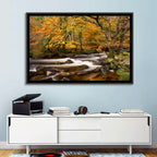 Dartmoor Autumn River in Golden Forest Wall Art
