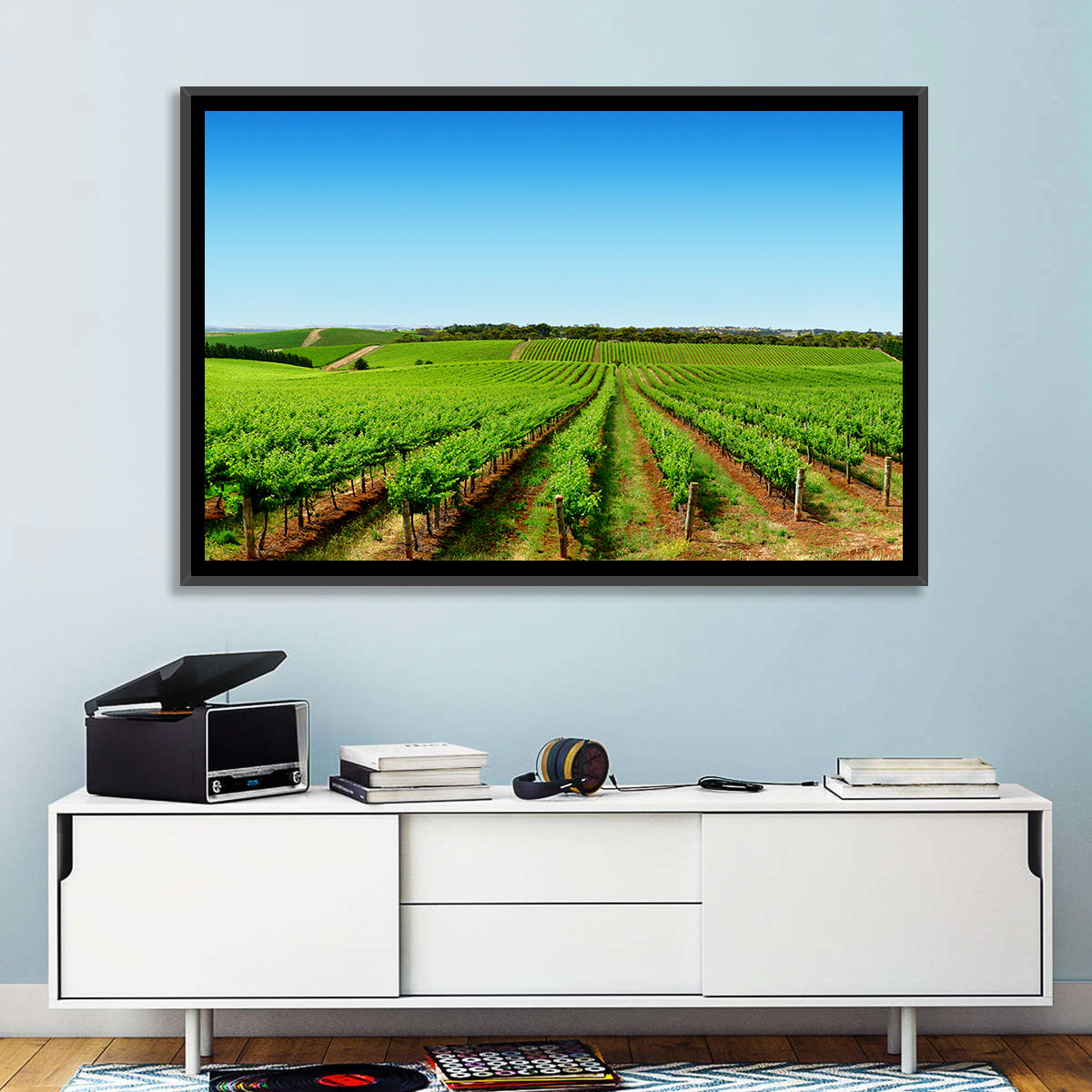 Sunlit Vineyard Rows Wall Art in a room, landscape