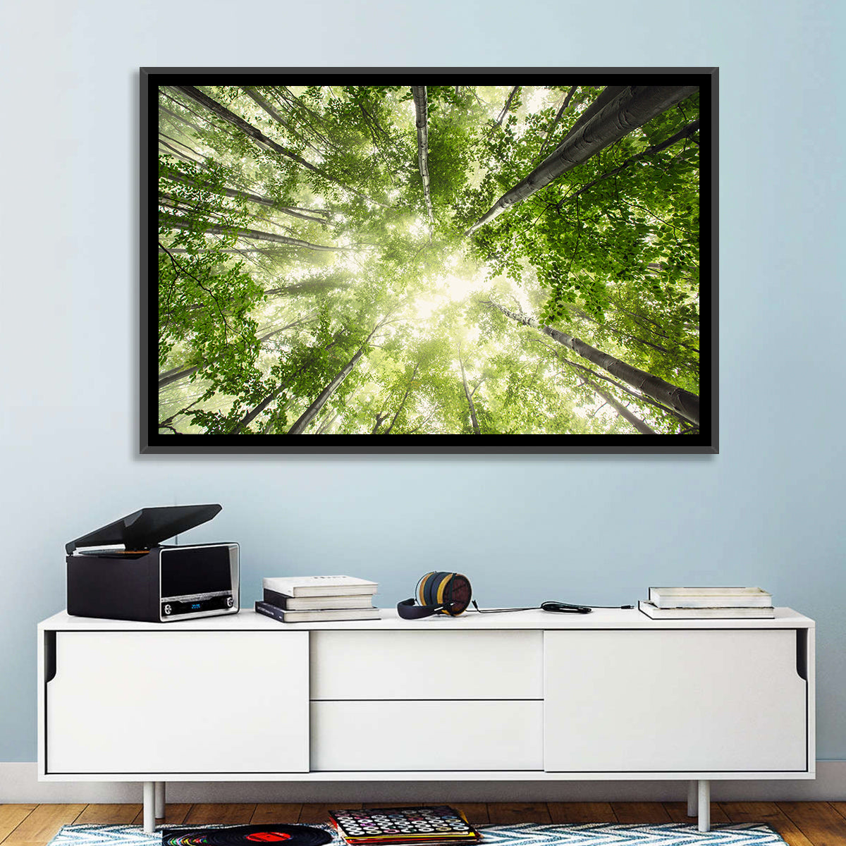Spring Canopy in Morning Mist Wall Art in a room, landscape