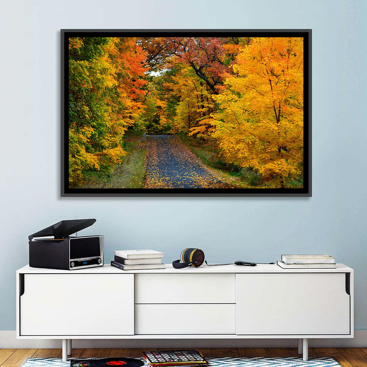 Autumn Road Through Wisconsin Park Wall Art