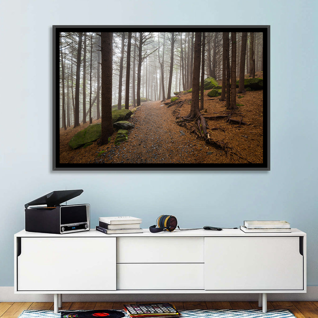 Misty Appalachian Trail Path Wall Art