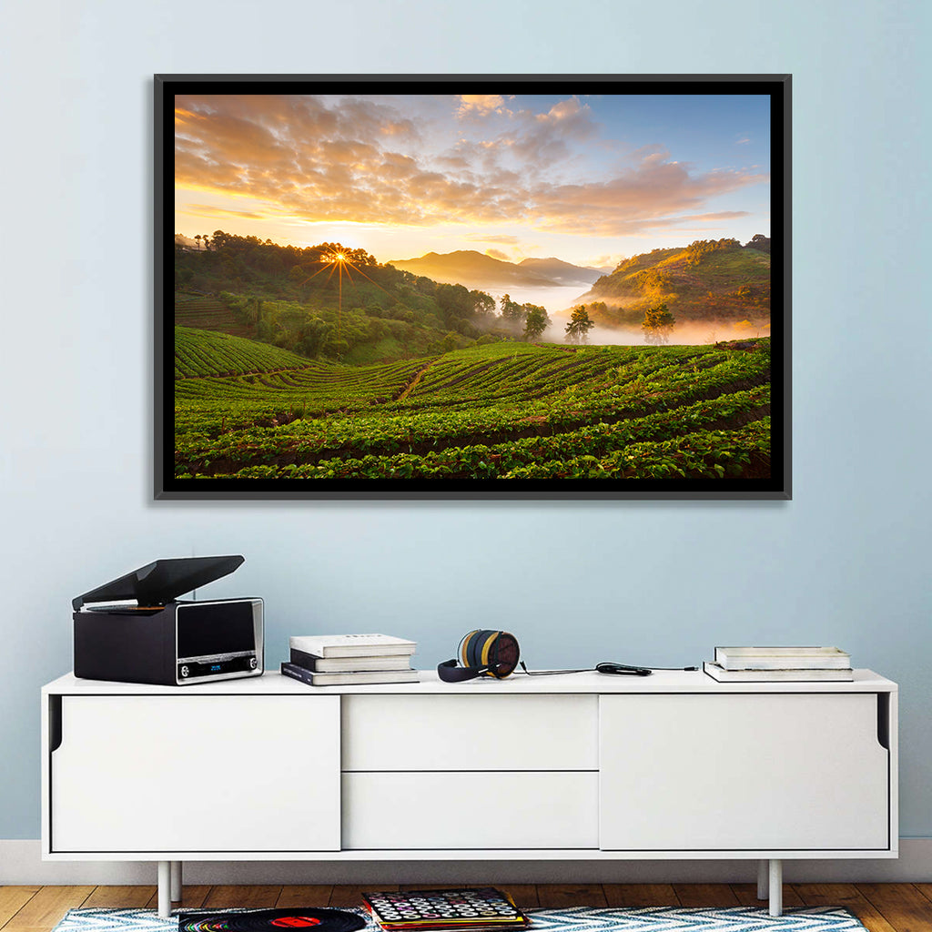 Strawberry Fields Sunrise Wall Art