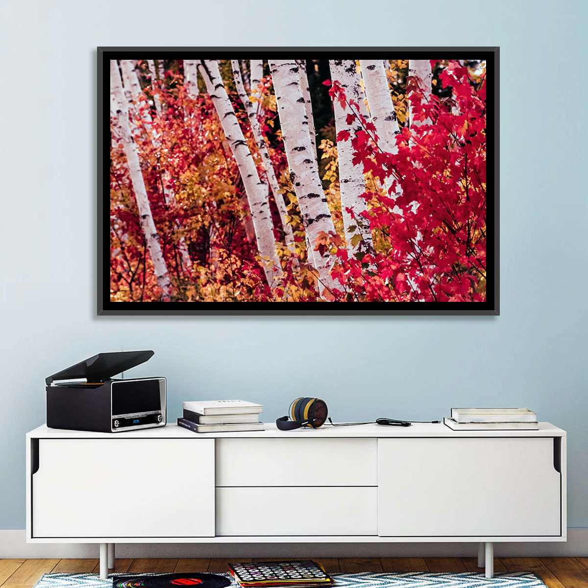 Autumn Birches with Crimson Maples Wall Art in a room, landscape
