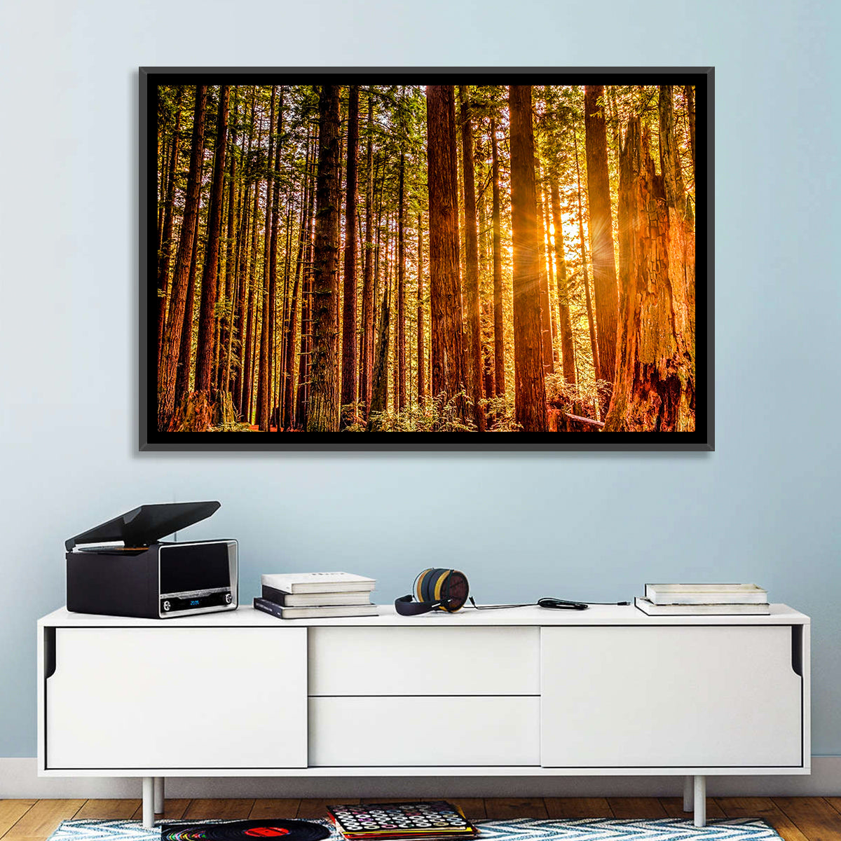 Golden Hour Redwood Sunburst Wall Art