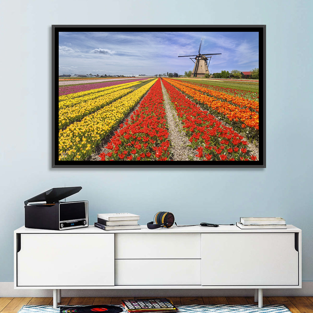 Spring Tulip Fields with Dutch Windmill Wall Art