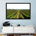 Tomato Fields Wall Art