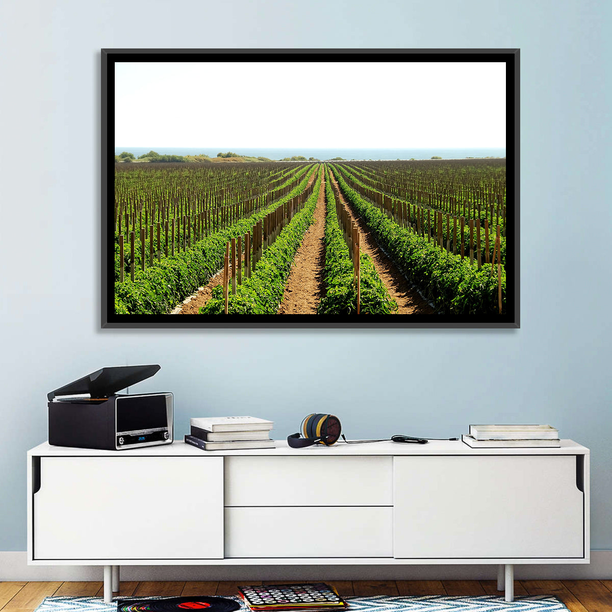 Tomato Fields Wall Art