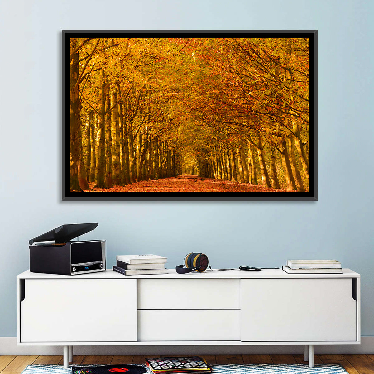 Golden Beech Tree Tunnel in Autumn Wall Art