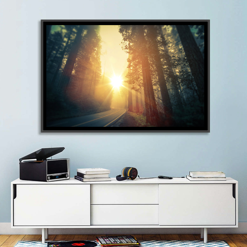 Misty Redwood Road with Golden Sunburst Wall Art