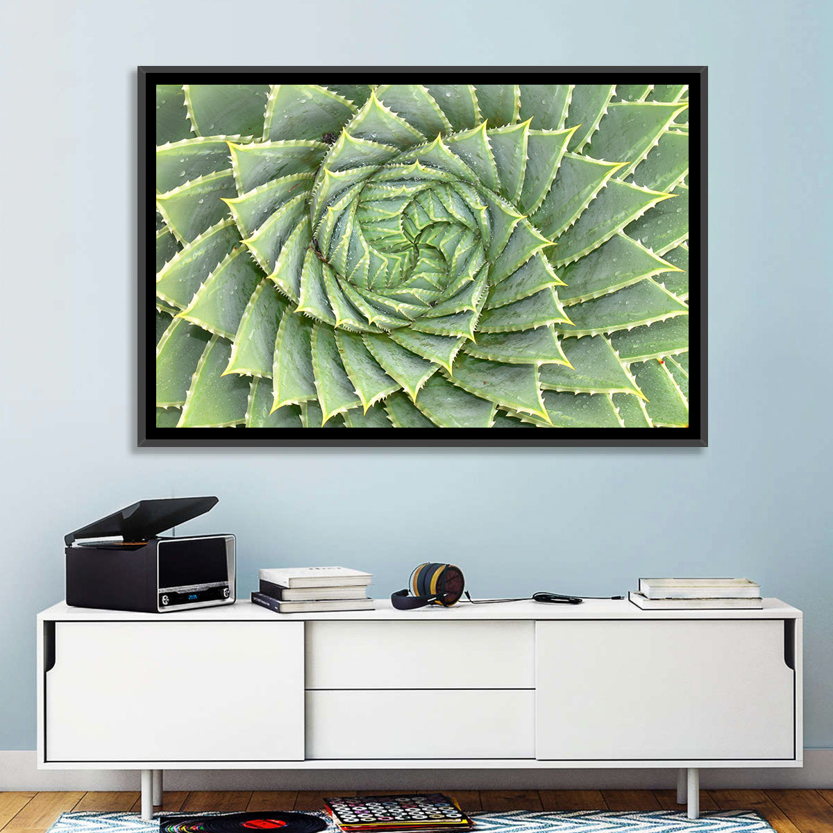 Spiral Aloe Close-up Wall Art in a room, landscape