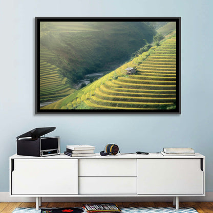 Rice Fields Wall Art