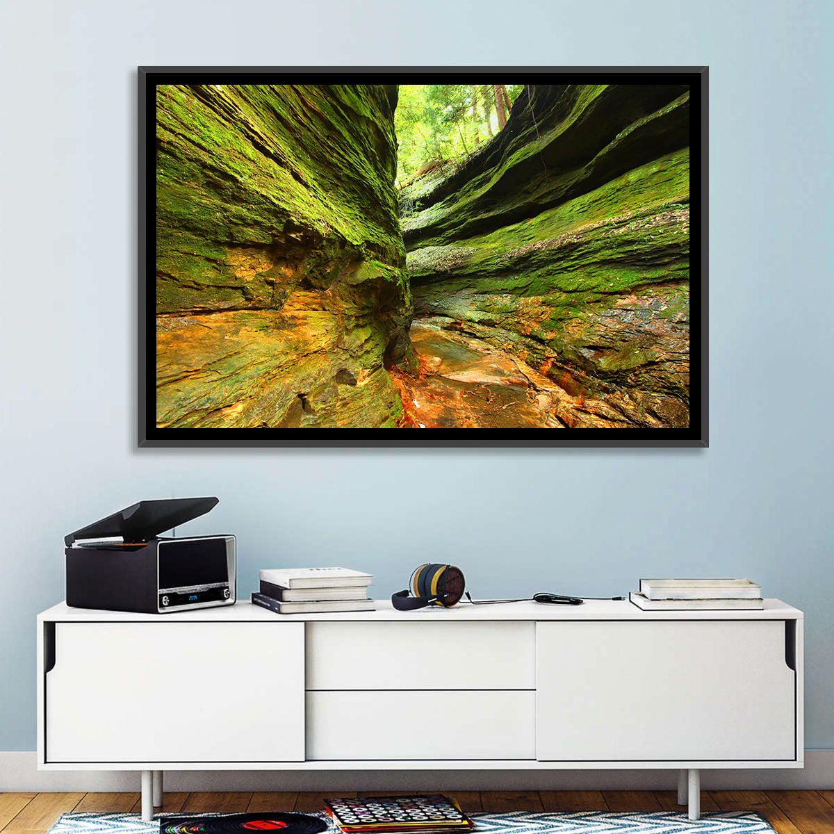 Turkey Run State Park Canyon Wall Art in a room, landscape