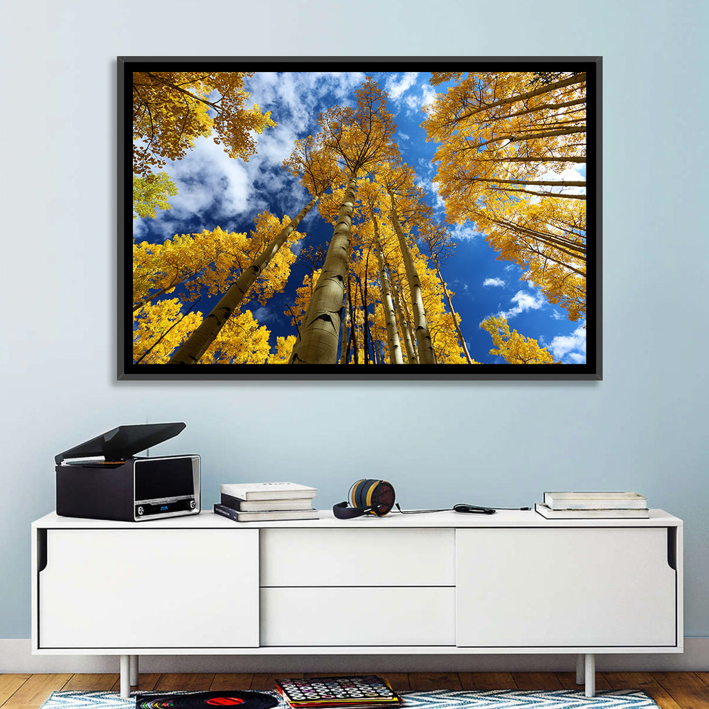 Golden Aspen Canopy View Wall Art