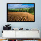 Kansas Wheat Fields Wall Art