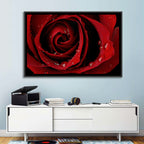 Red Rose with Dew Drops Wall Art