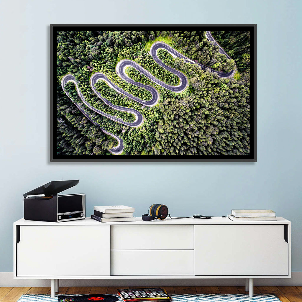 Serpentine Mountain Road Wall Art