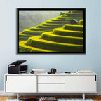 Golden Rice Terraces Wall Art