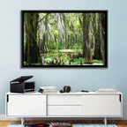 Louisiana Cypress Swamp Wall Art