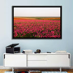 Pink Ranunculus Flower Field Wall Art