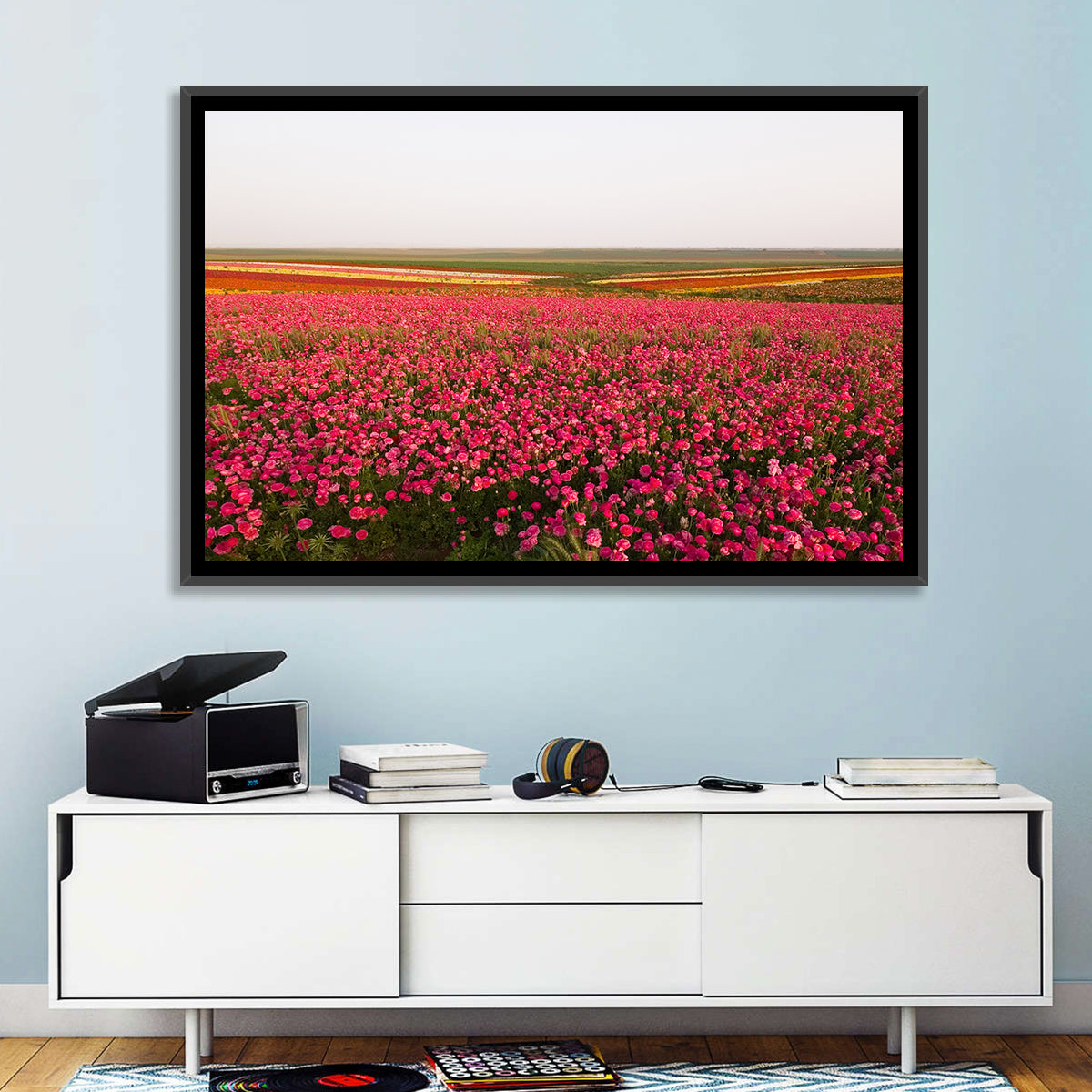 Pink Ranunculus Flower Field Wall Art