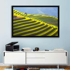 Mu Cang Chai Rice Terraces Wall Art